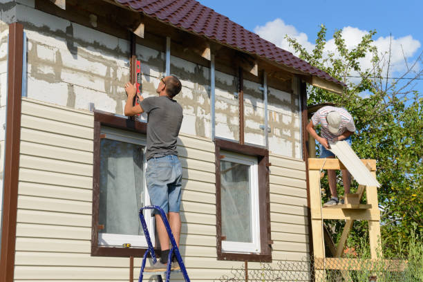 Affordable Siding Repair and Maintenance Services in Elgin, IL