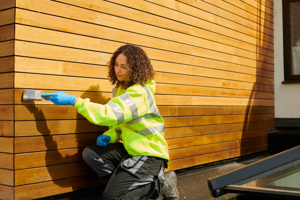 Best Siding Removal and Disposal  in Elgin, IL