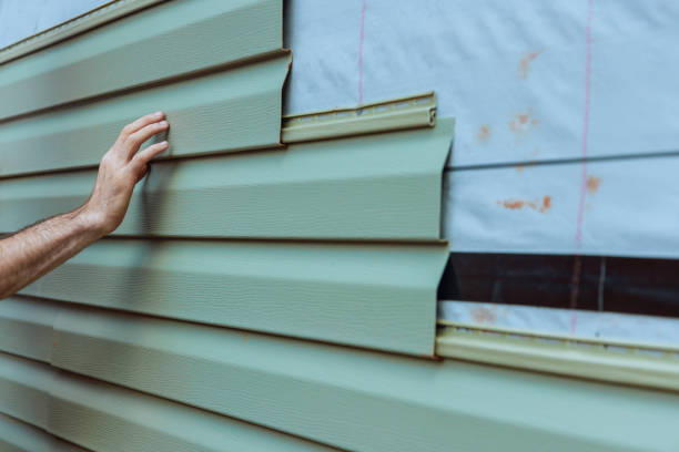 Best Custom Trim and Detailing for Siding  in Elgin, IL